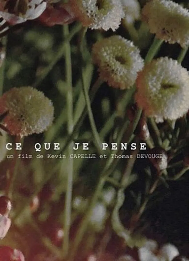 Ce que je pense poster background