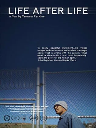 Life After Life poster background