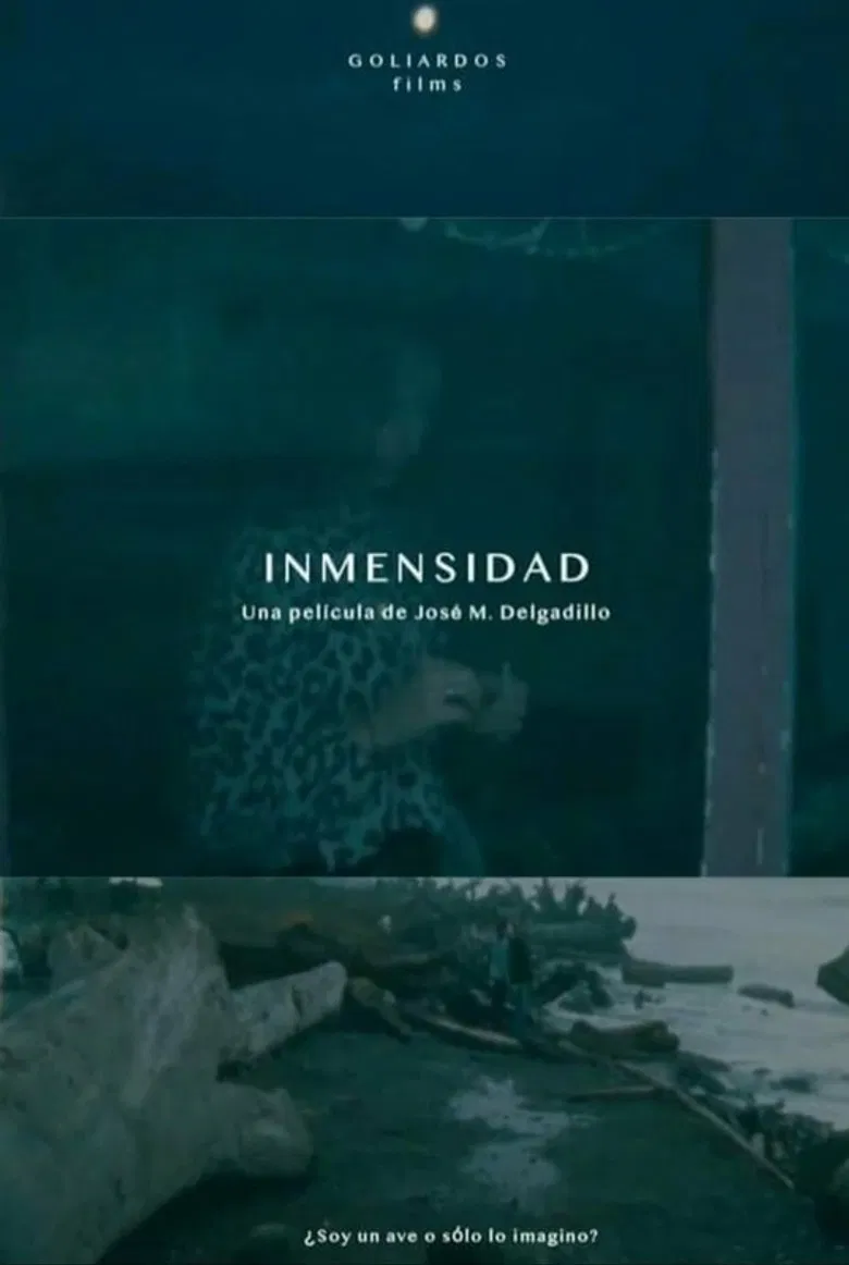 Immensity poster background