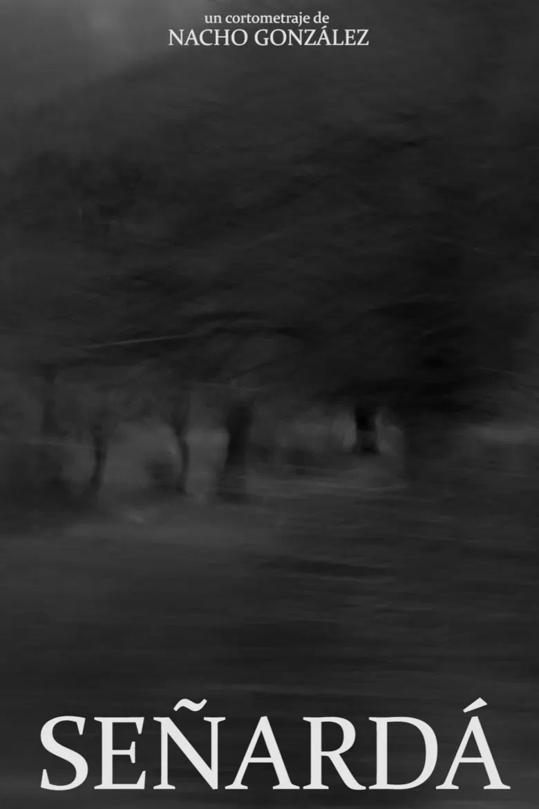 Señardá poster background