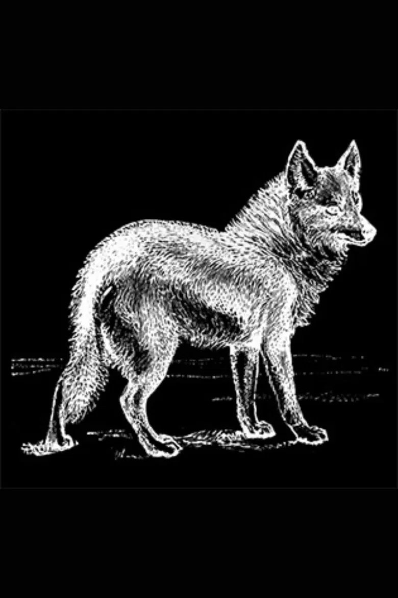 Elmiteskuatl poster background