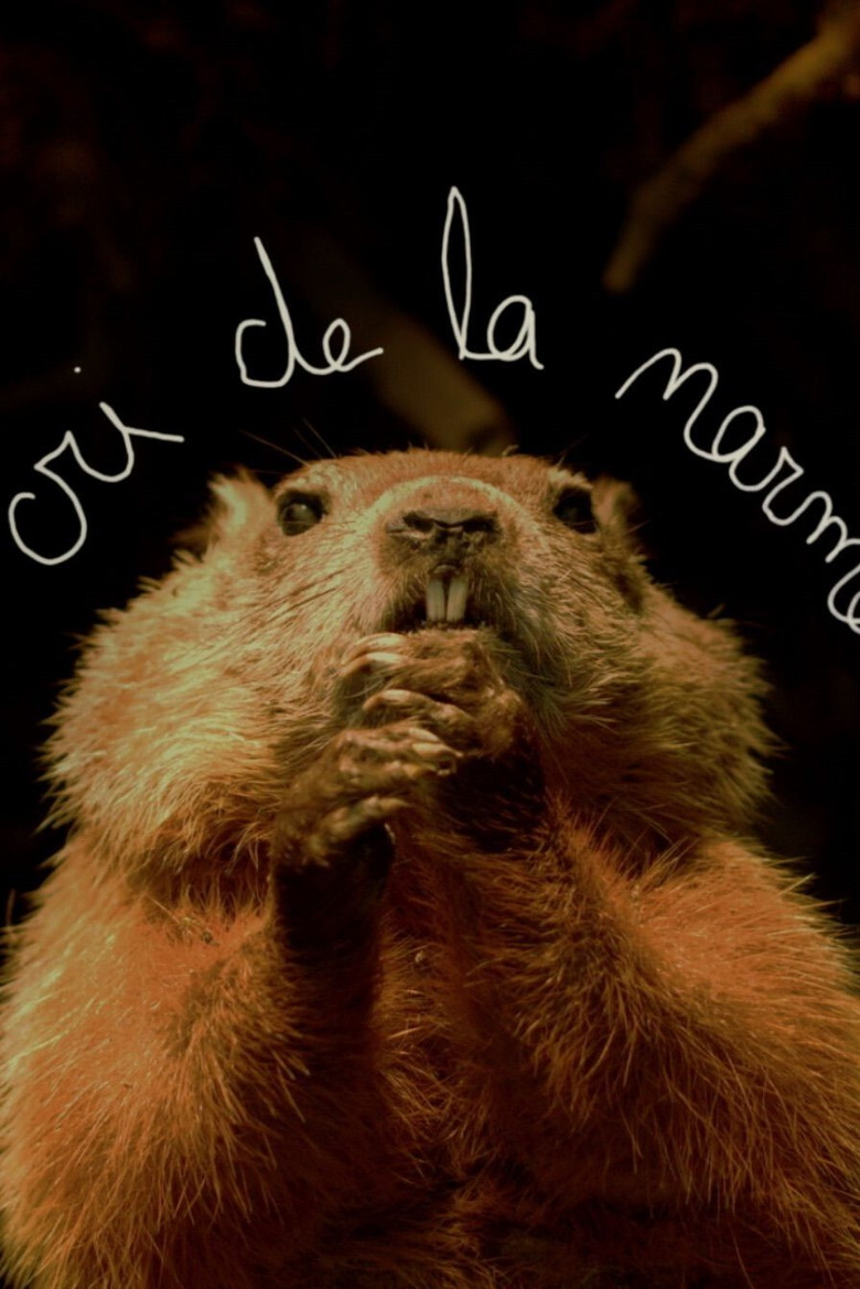 Le cri de la marmotte poster background