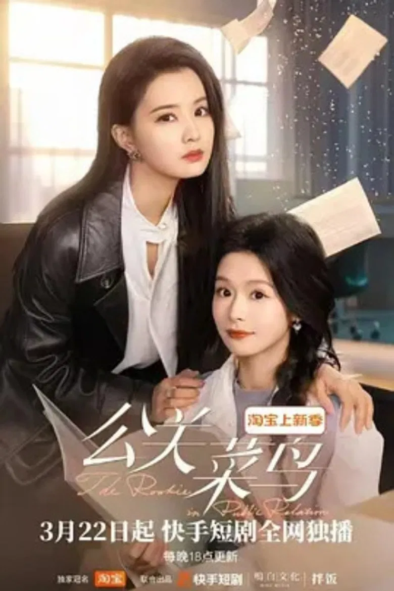 The Rookie in Public Relation poster background