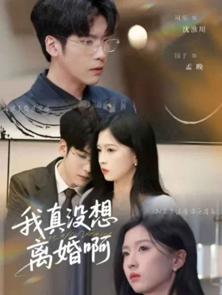 我真没想离婚啊 poster background