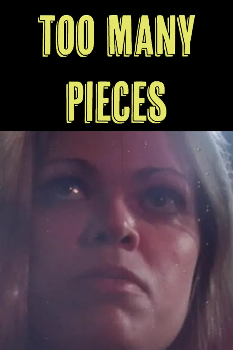 Too Many Pieces poster background