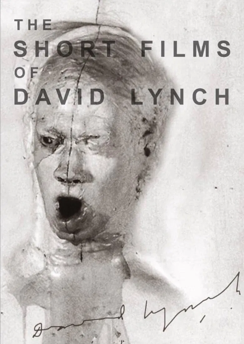 The Short Films of David Lynch poster background