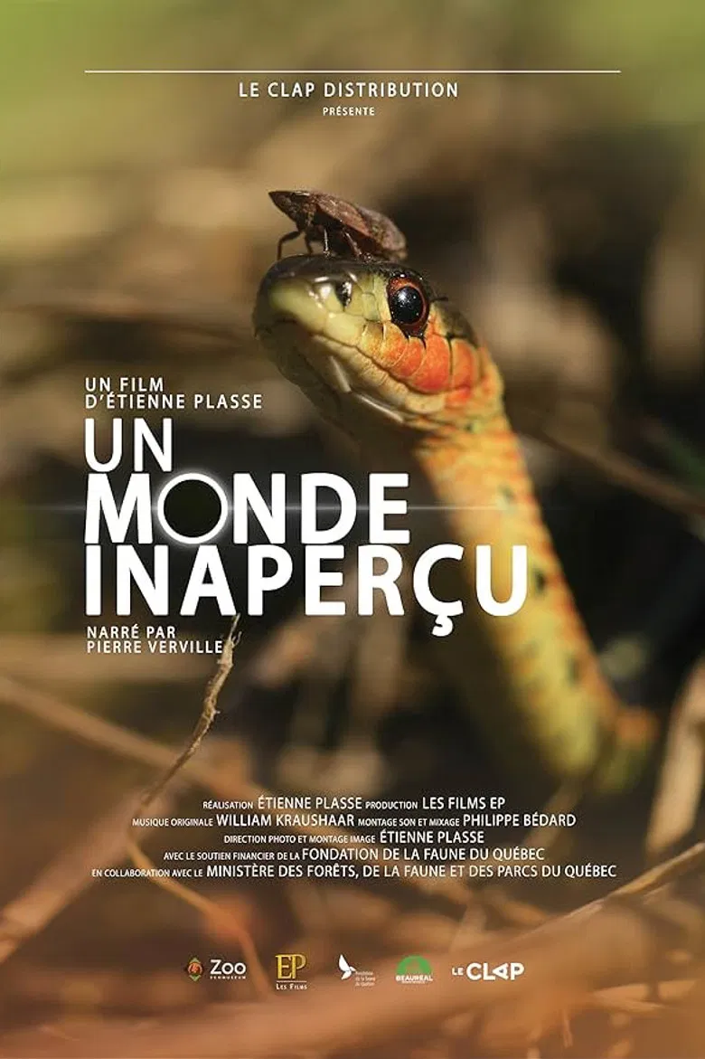 Un monde inaperçu poster background