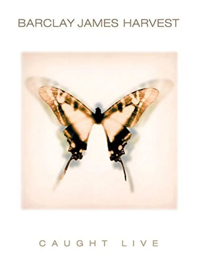 John Lee Hooker and Friends 1984-1992 poster background