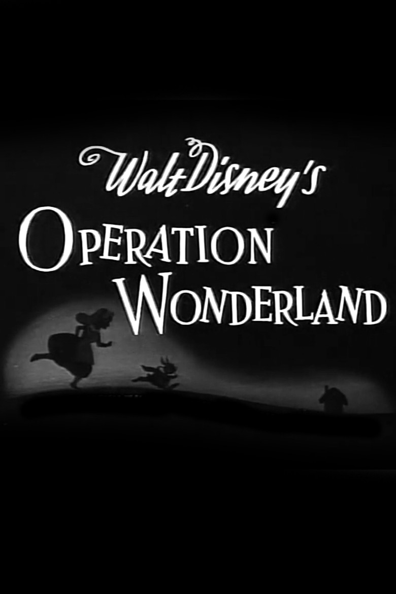 Operation Wonderland poster background