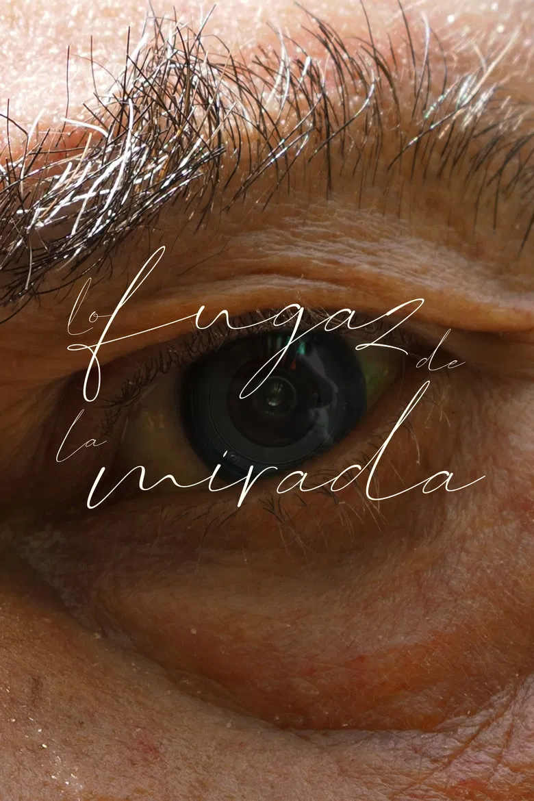 Lo fugaz de la mirada poster background