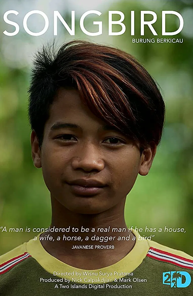 Songbirds: Burung Berkicau poster background