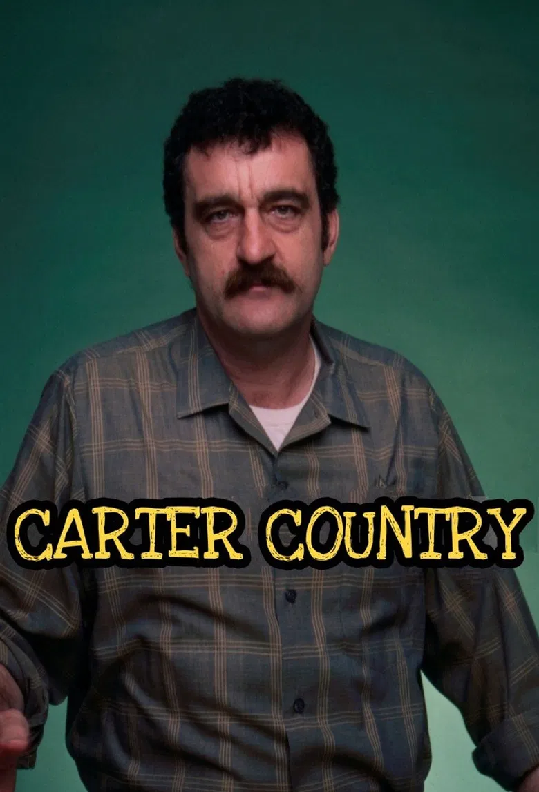 Carter Country poster background