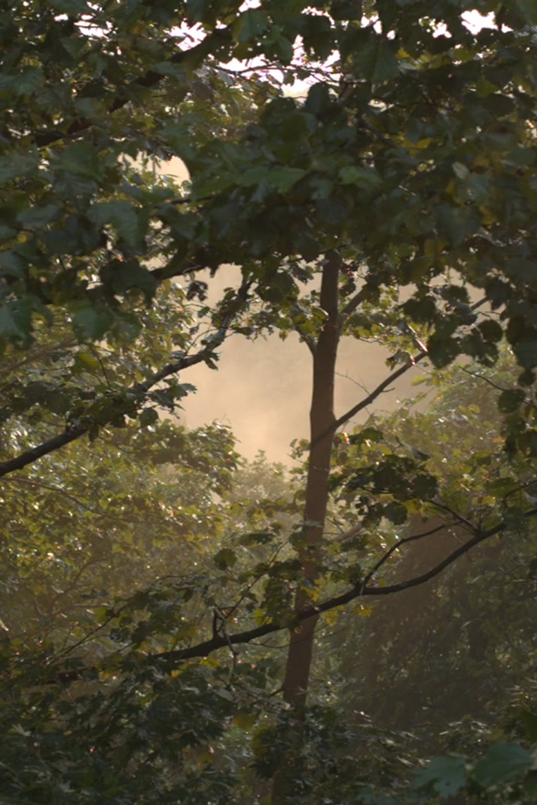 After Us The Deluge poster background