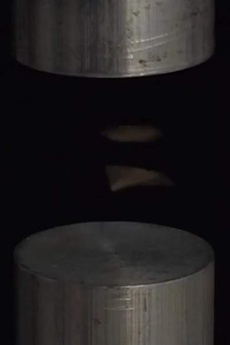 Sonolevitation poster background