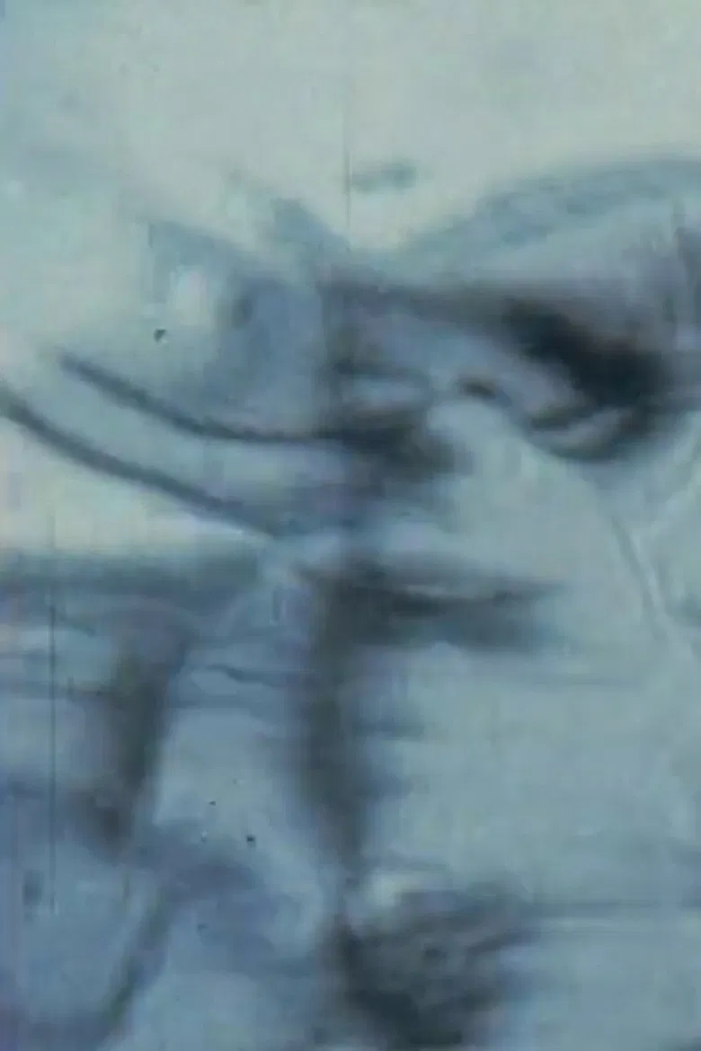 Sappho : poèmes et fragments poster background