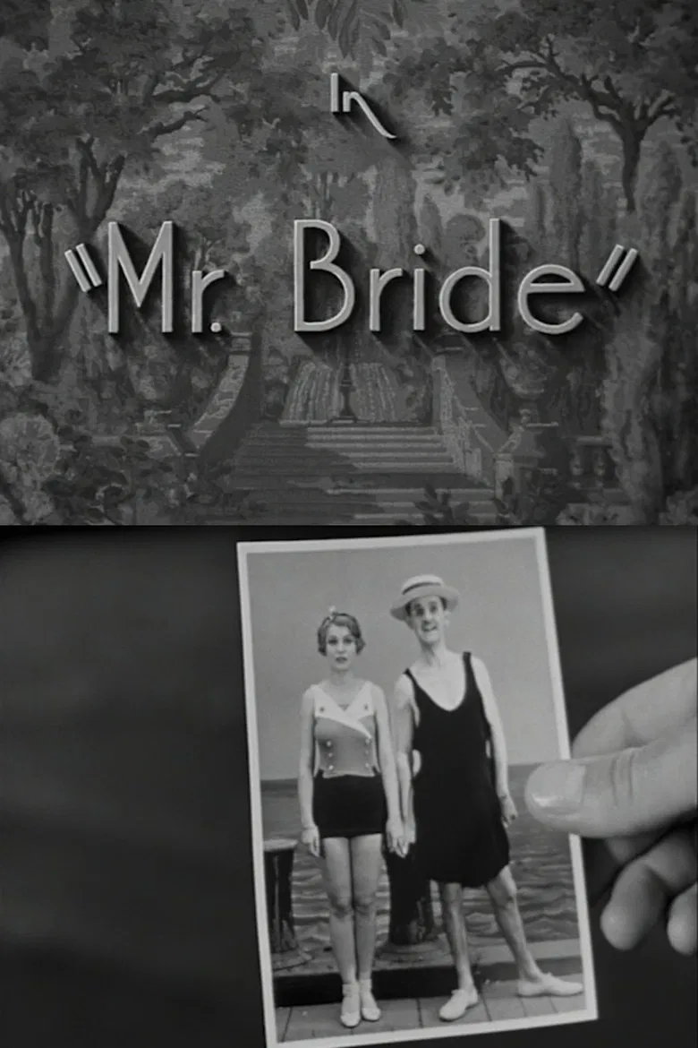 Mr. Bride poster background