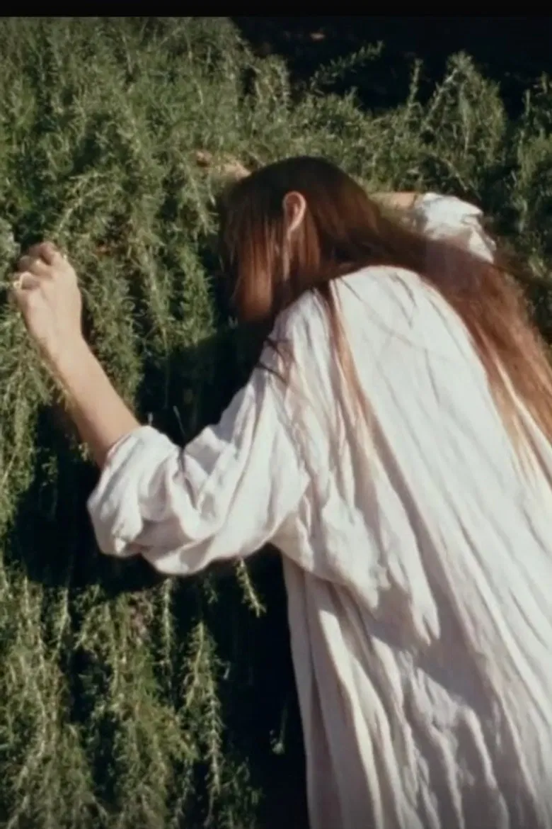 VIVA ÁGUA poster background