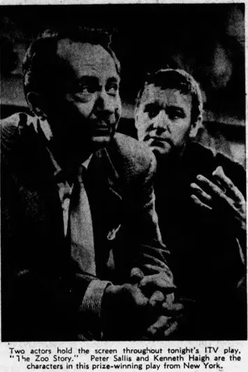 The Zoo Story poster background