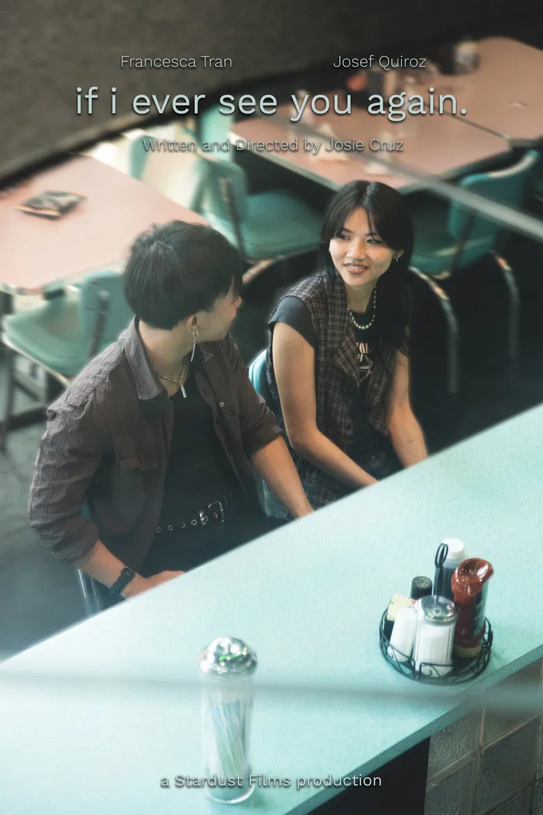 if i ever see you again. poster background