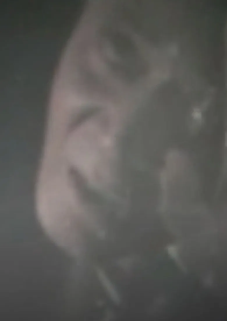 Self-Portrait poster background