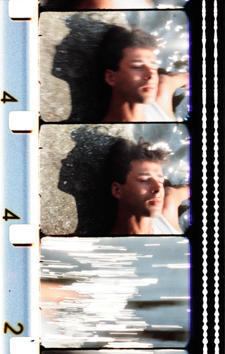 Feuilles d'été poster background