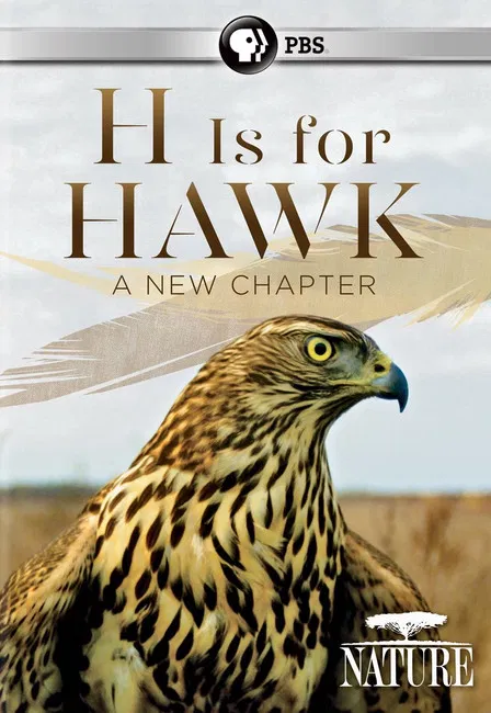 H Is for Hawk: A New Chapter poster background