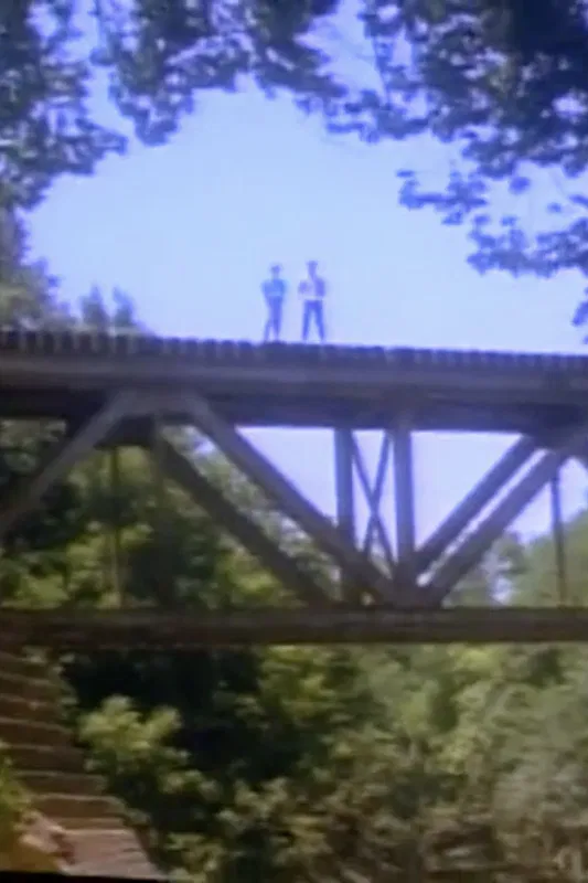 Has Anybody Seen Phil? poster background