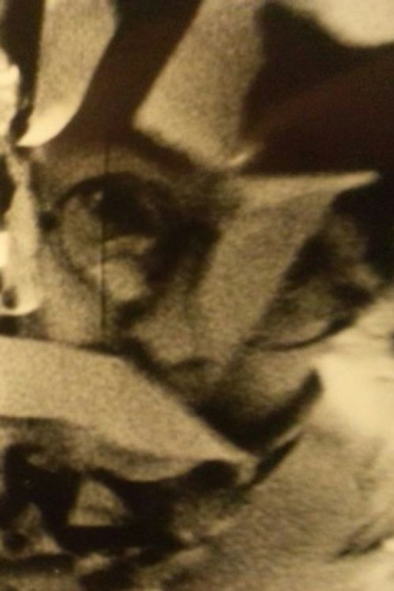 CRAZY FEELER poster background