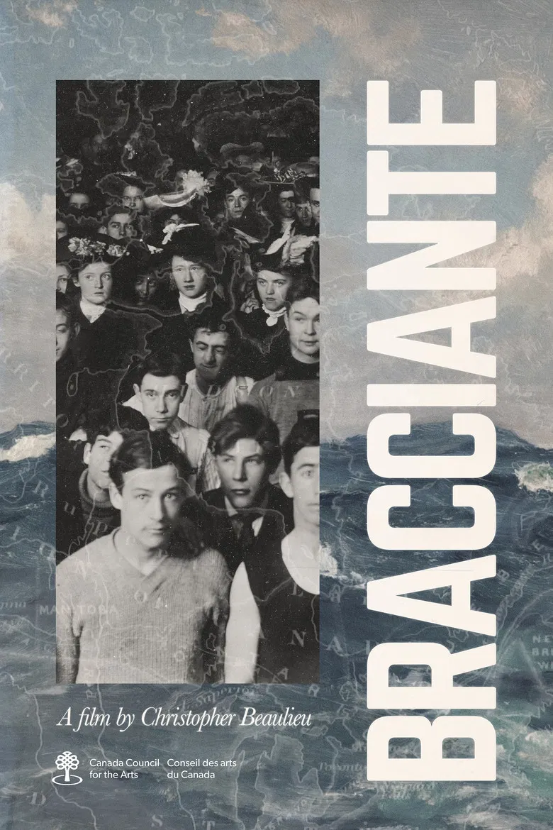 Bracciante poster background