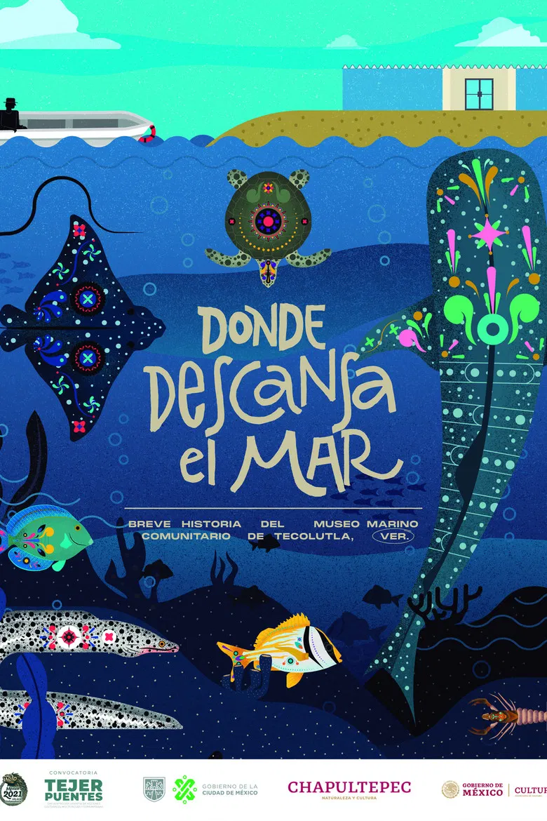Donde descansa el mar: Breve historia del Museo Marino Comunitario de Tecolutla poster background