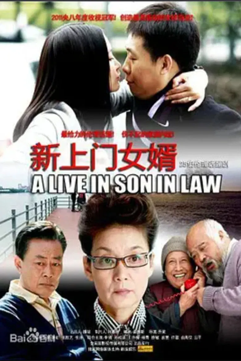 新上门女婿 poster background