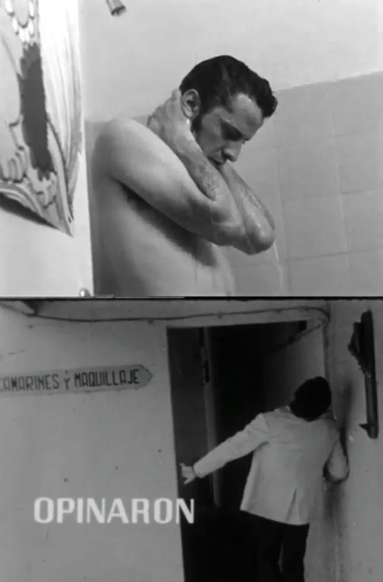 Opinaron poster background