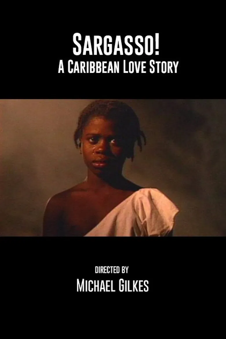 Sargasso: A Caribbean Love Story poster background