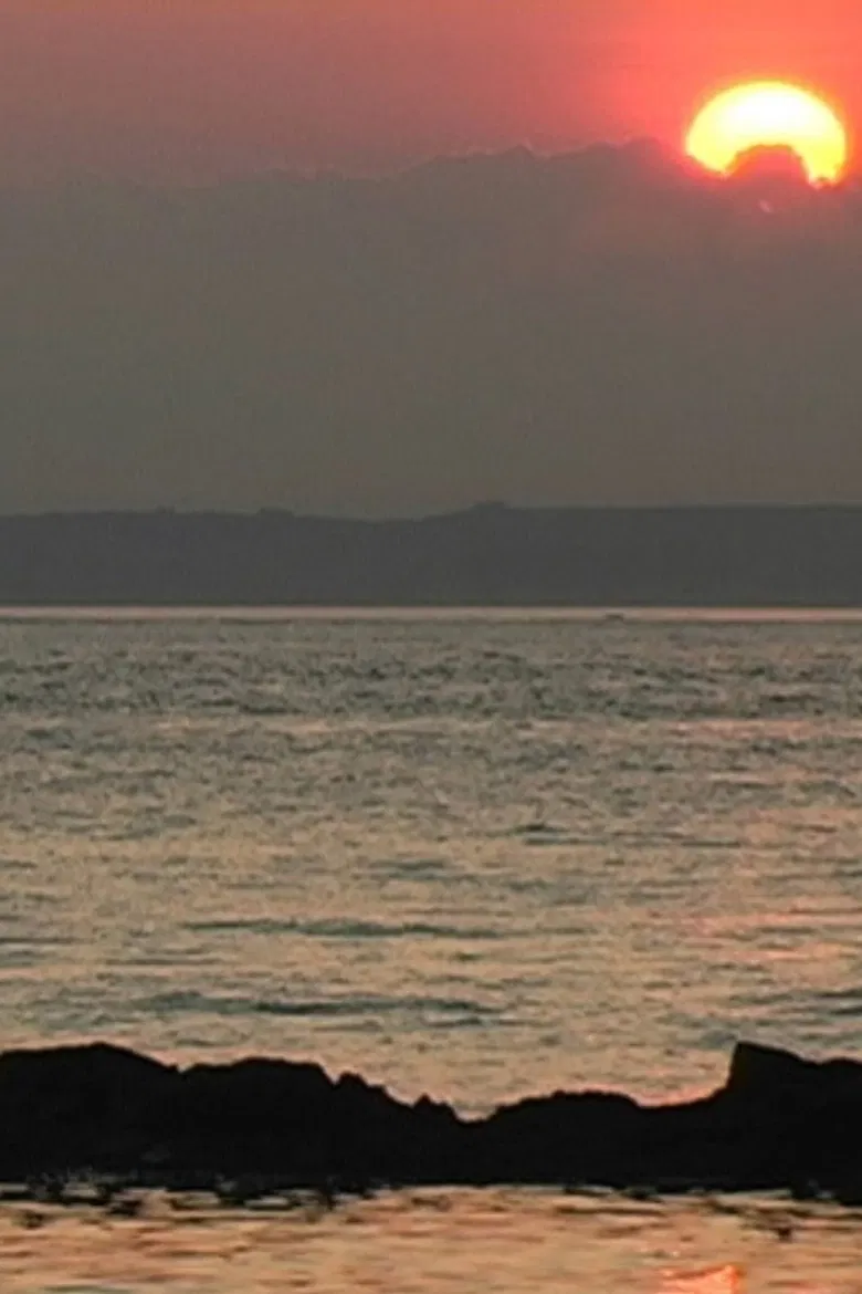 Waterfront Follies poster background