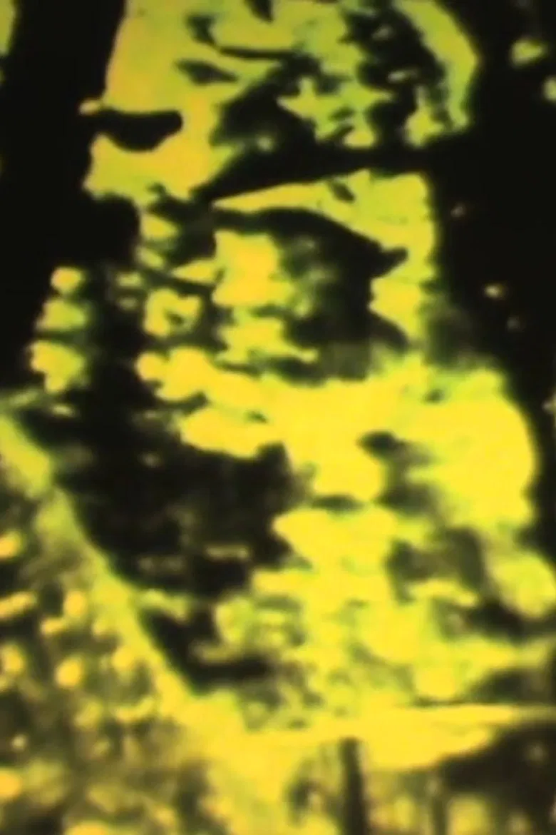 A Castle Built Upside Down poster background