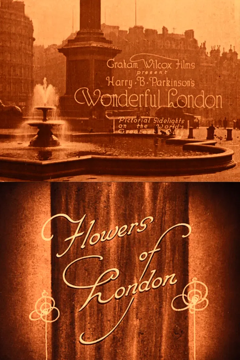Wonderful London: Flowers of London poster background