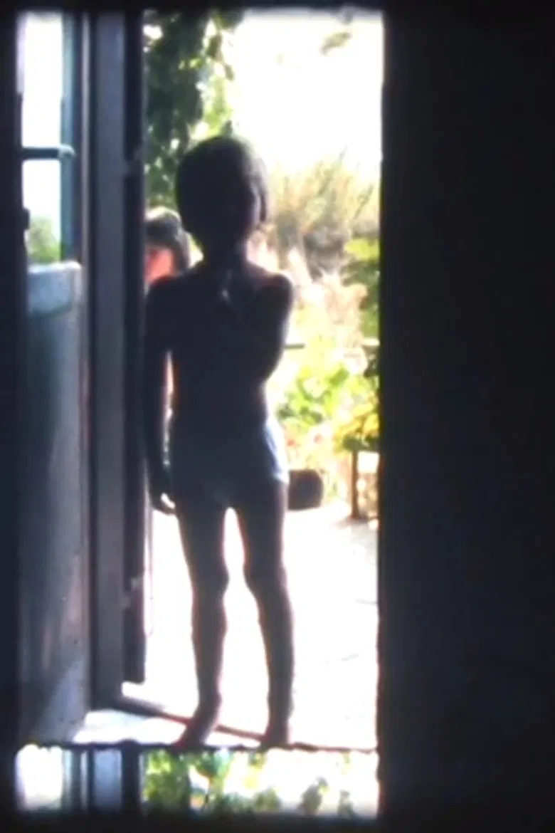 Polaroids poster background