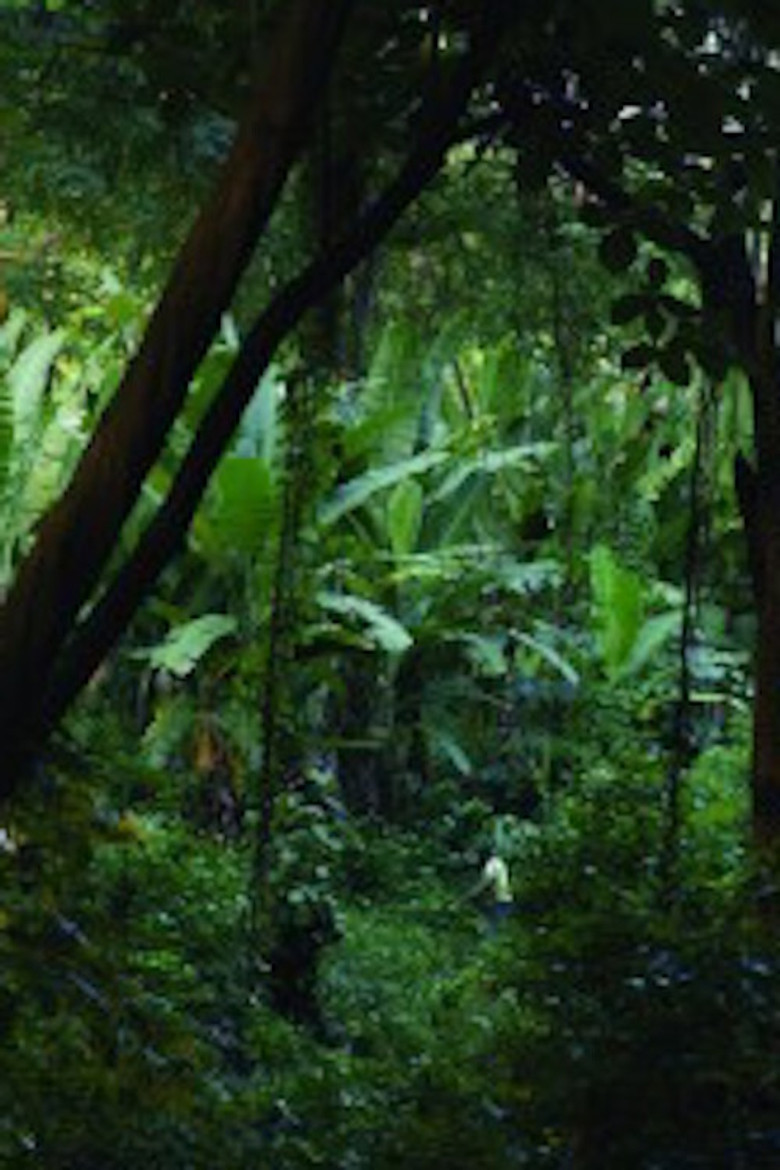 Soon It Will Be Dark poster background