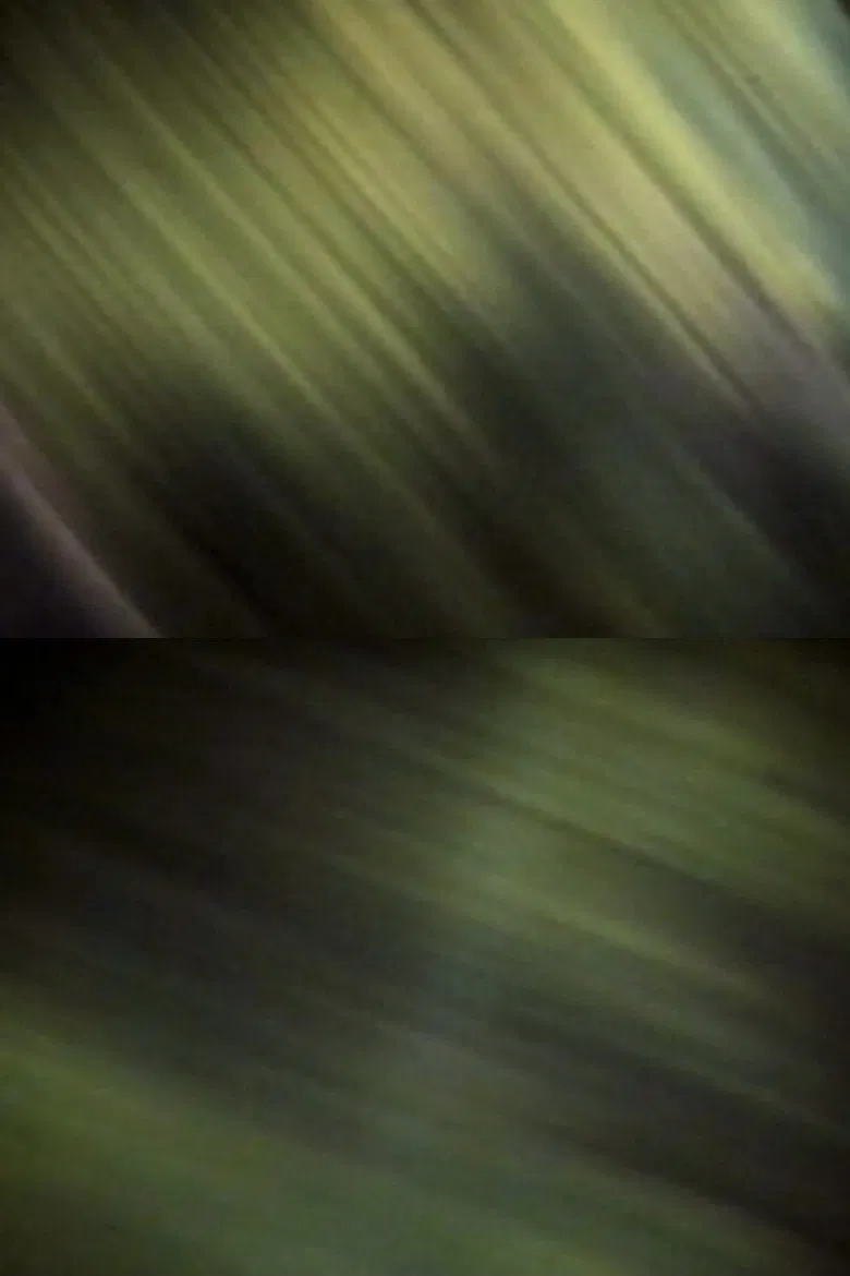 E lei si scordò poster background