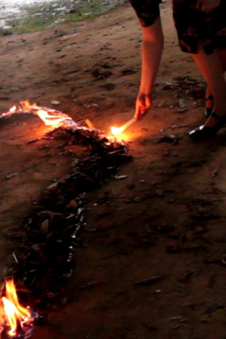 Doors and Windows poster background