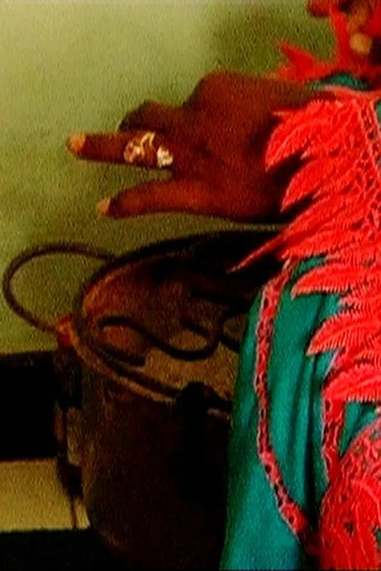 Les Sénégalaises et la Sénégauloise poster background