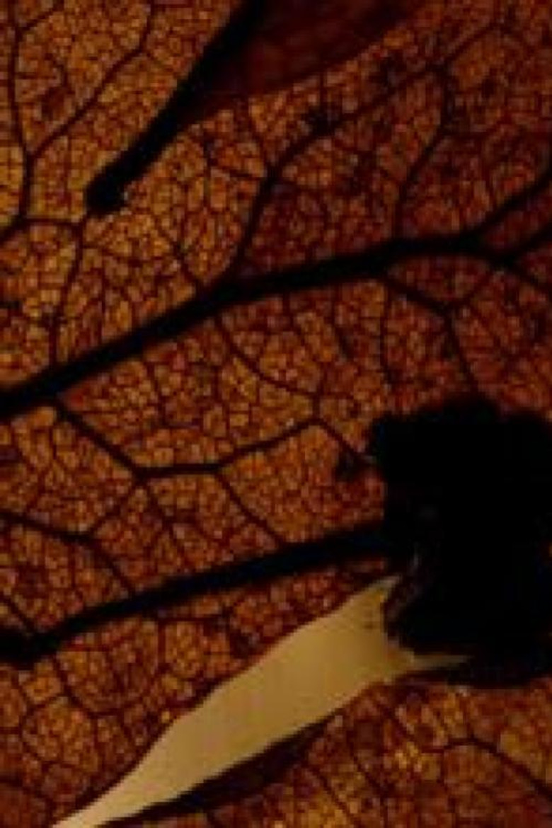 Le Rêve poster background