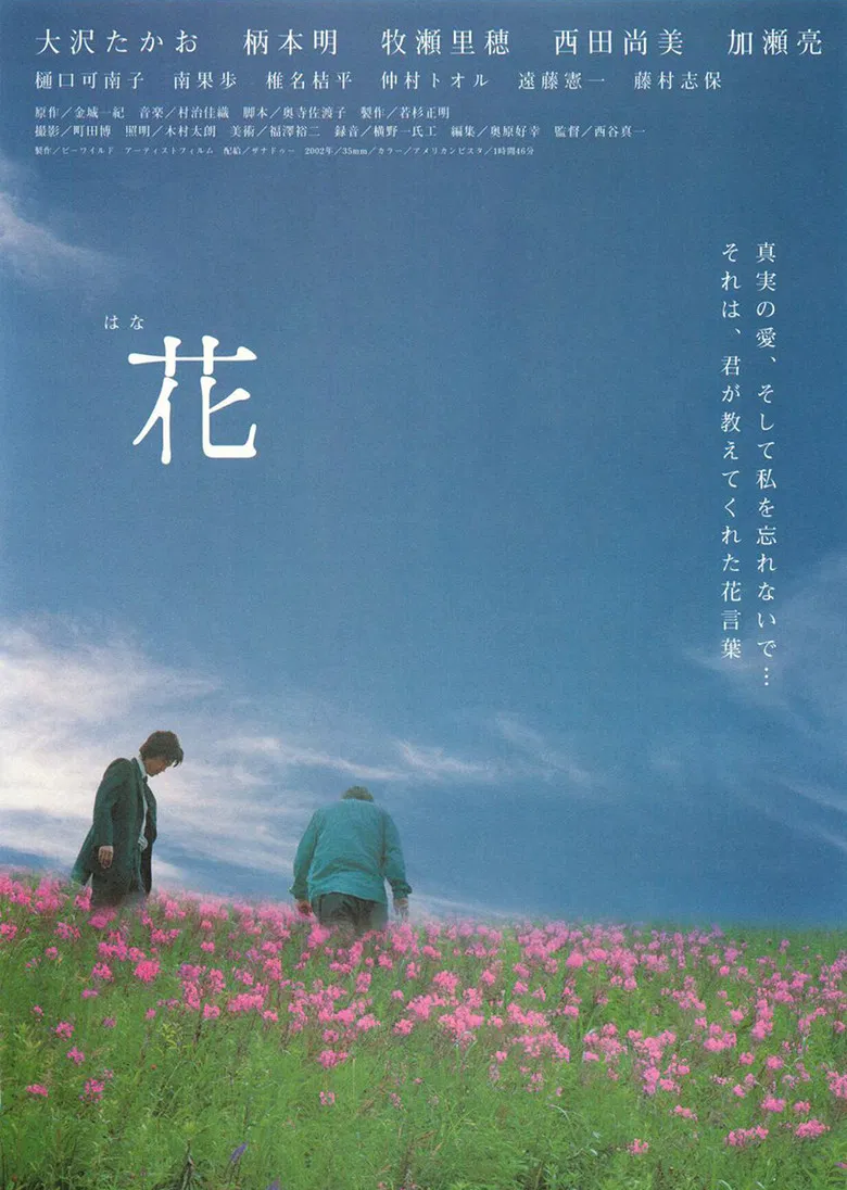 Hana poster background