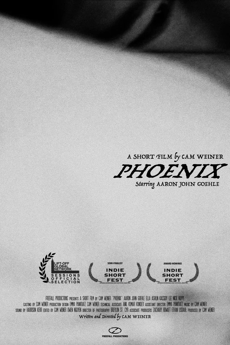 Phoenix poster background