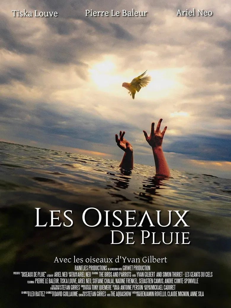Les Oiseaux de pluie poster background