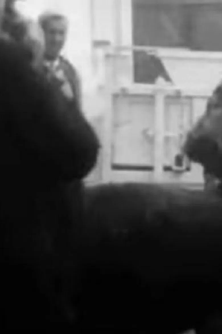 Turkish Professor at the Agricultural School poster background