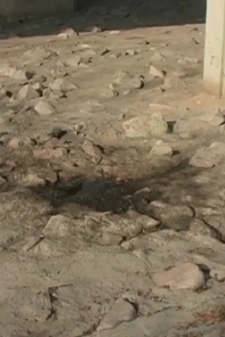 2005.1 Sandy River Water poster background