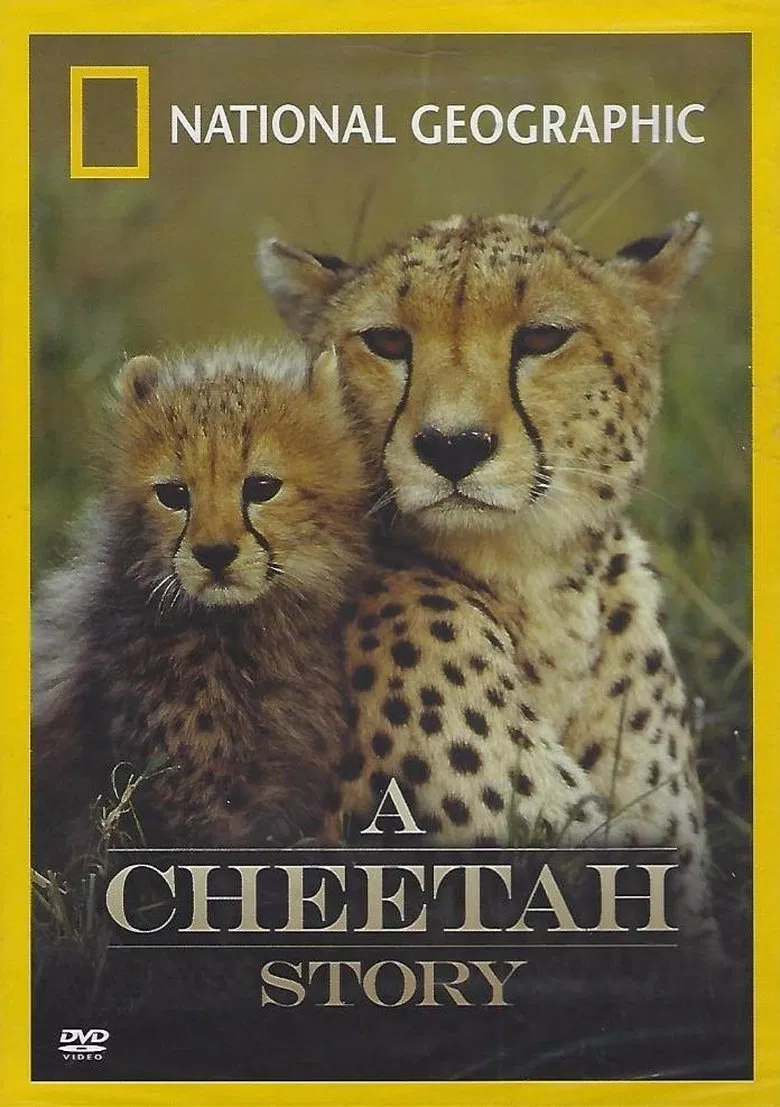 Cheetah Story poster background