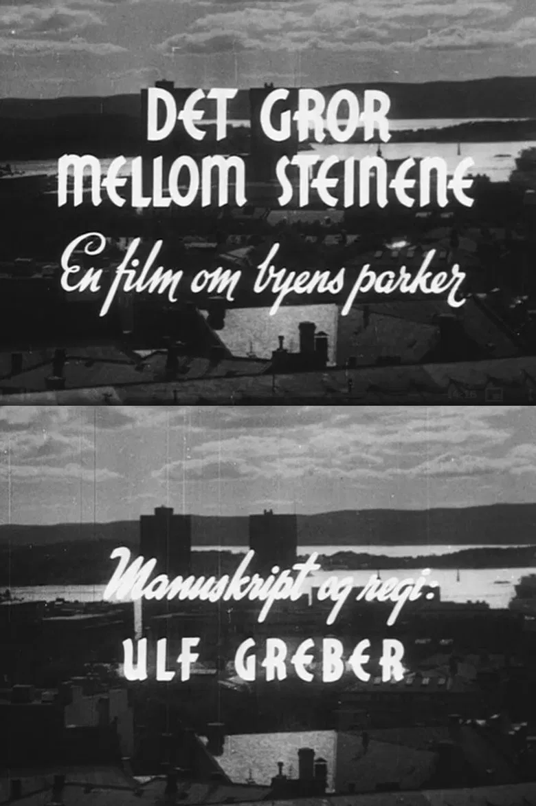 Oslofilm: Det gror mellom steinene poster background