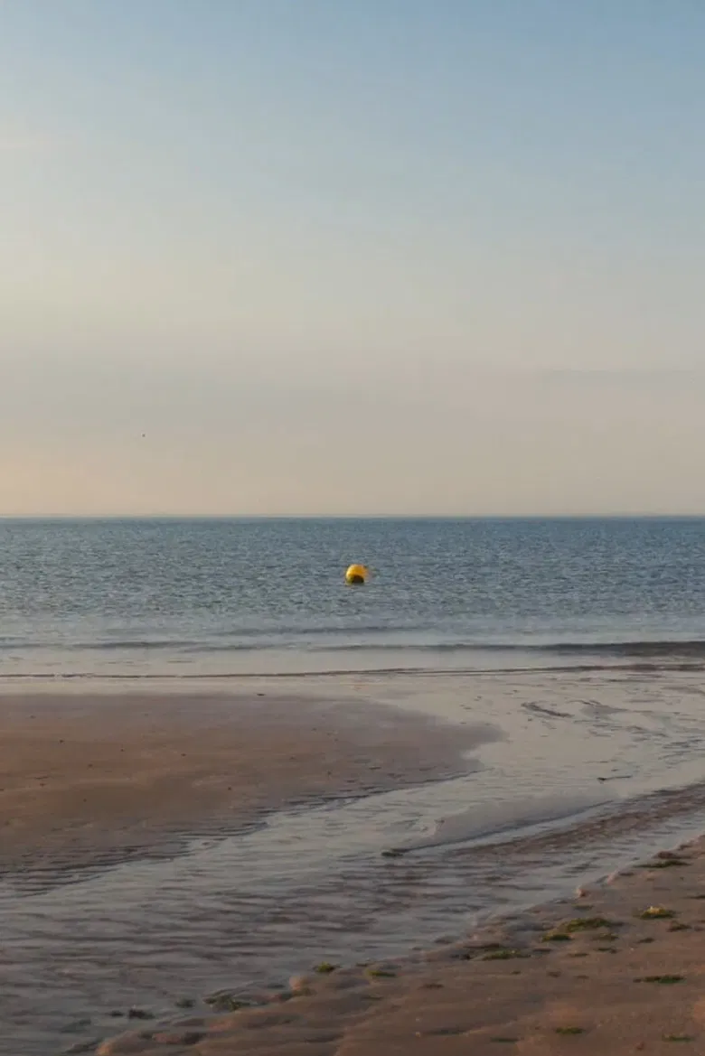 albion, refreshed poster background